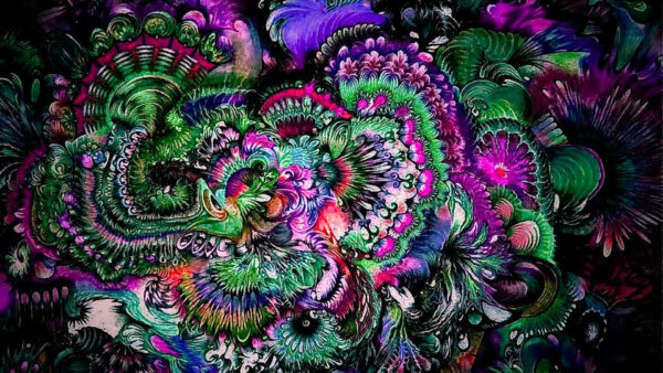 Wallpaper Flower, Artistic, Desktop, Trippy, Painting, Colorful