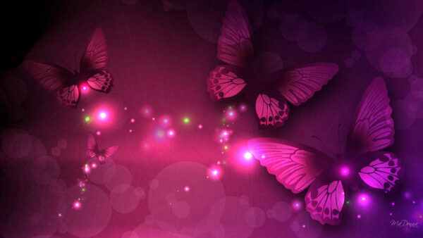 Wallpaper Butterfly, Pink, Black, Butterflies