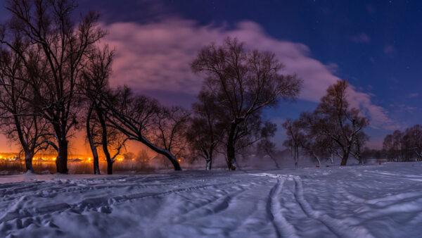 Wallpaper Sunset, And, During, Covered, Nature, Snow, Desktop, Winter, Landscape