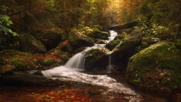 Wallpaper Sunset, Covered, Mobile, Algae, During, Forest, Stones, Background, Nature, Stream, Desktop, Trees, Waterfall, Green