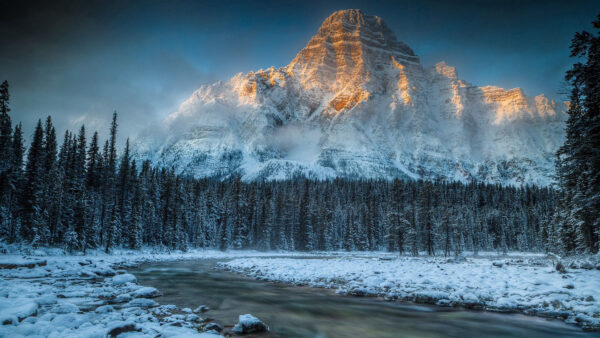 Wallpaper Trees, Frozen, Covered, Under, River, Snow, Nature, And, Sky, Mountains