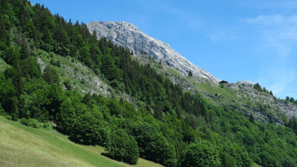 Wallpaper Desktop, Nature, View, Plants, Stones, Rocks, Sky, Mobile, Bushes, Green, Mountains, Background, Trees, Landscape, Blue, Slope