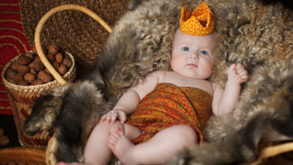 Wallpaper Crown, Brown, Colorful, Child, Chubby, Fur, Cloth, Lying, Down, Wearing, Cute