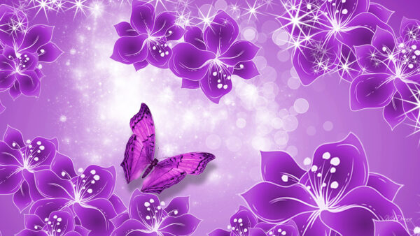 Wallpaper Stars, Bokeh, Flowers, Purple, Rounds, Butterfly