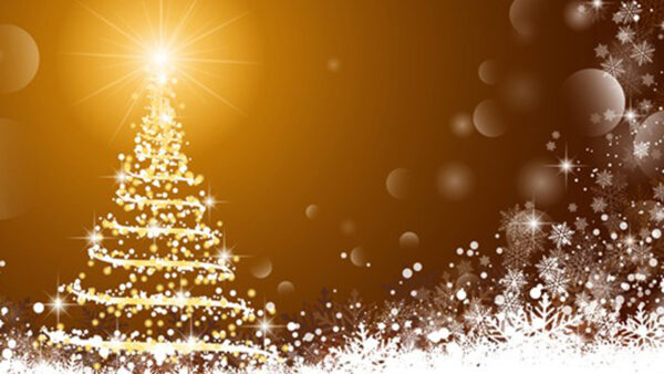 Wallpaper Background, Light, Glare, Glitter, Desktop, Christmas, Tree