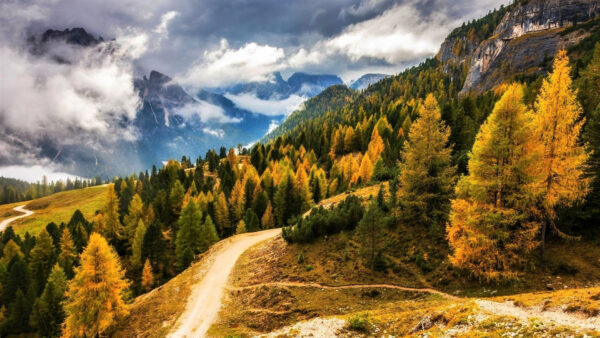 Wallpaper Road, Between, Autumn, Greenery, Mountain, Fog, Yellow, With, Trees, Mountains, Green, Slope