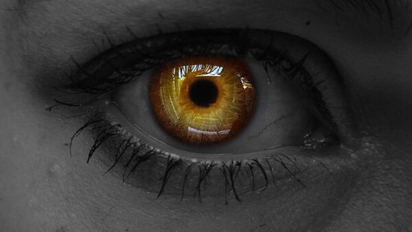 Wallpaper Yellow, Evil, Lashes, Eye, Black, Pupil, Iris