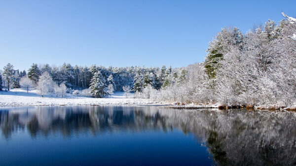 Wallpaper Landscape, Trees, Lake, Reflection, Blue, Spruce, Under, Covered, View, Bushes, Snow, Winter, Sky