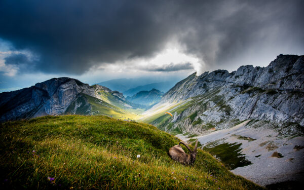 Wallpaper Switzerland, Pilatus, Mount