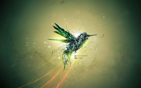 Wallpaper Bird, Flight, Green