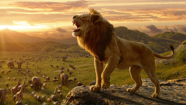 Wallpaper Simba, The, King, Lion