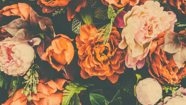 Wallpaper Desktop, Green, Aesthetic, Flowers, Leaves, With, Orange