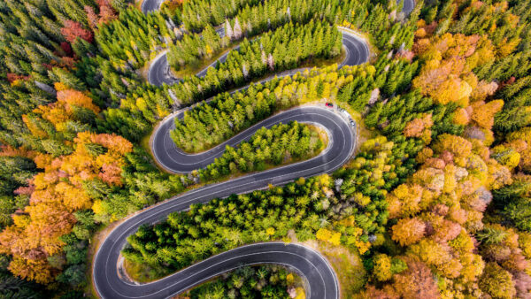 Wallpaper Road, Trees, Landscape, Nature, Monitor, Curved, Background, Aerial, 4k, Dual, Free, Desktop, Wallpaper, Surrounded, Phone, Android, IPhone, Green, Cool, Download, Mobile, Pc, Photography, Images