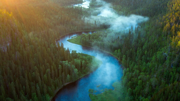 Wallpaper View, Desktop, Landscape, Nature, Aerial, And, River, Forest