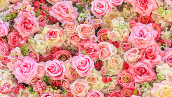 Wallpaper Bouquet, Mobile, Desktop, Rose, Colorful, Roses