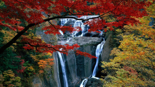 Wallpaper Trees, Waterfalls, Rock, Nature, Foliage, Between, From, Desktop, View