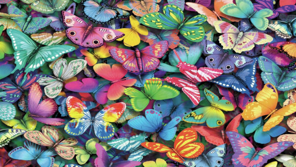 Wallpaper Butterflies, Butterfly, Collection, Desktop, Colorful