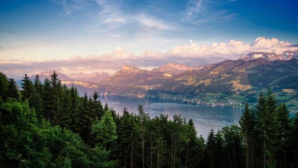 Wallpaper Desktop, Forest, Under, And, Landscape, Nature, Mountains, Covered, Sky, Mobile, Green, Cloudy