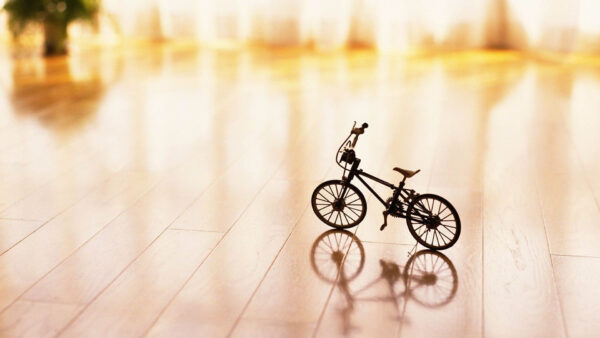Wallpaper Floor, Bicycle, Photography, Toy