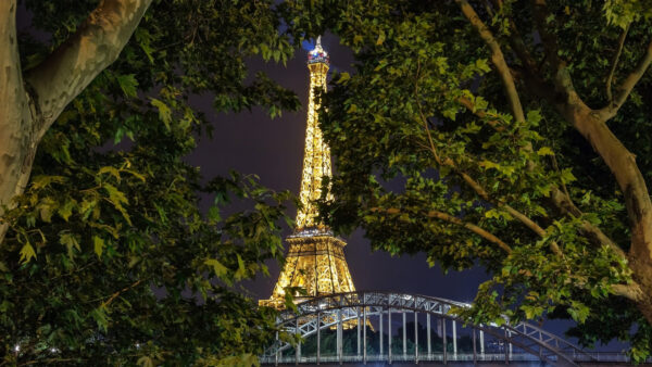 Wallpaper Between, Trees, Tower, Eiffel, Travel, From, Desktop, View