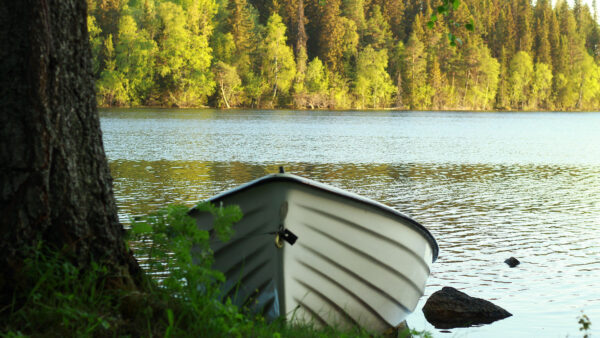 Wallpaper Mobile, Nature, Boat, Body, Water, Calm, Forest, Trees, Desktop