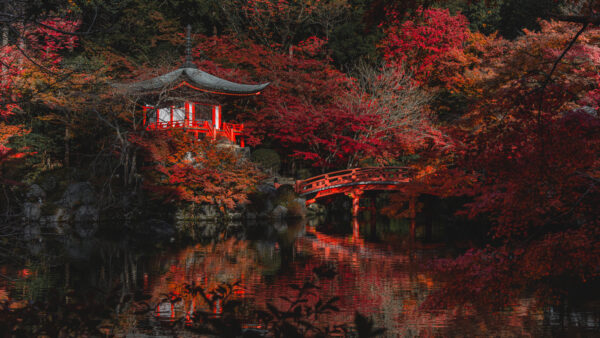 Wallpaper Trees, Autumn, Park, Fall, Reflection, Yellow, Leaves, Nature, Green, View, Pond, Mobile, Desktop, Red, Landscape, Bridge, Pagoda