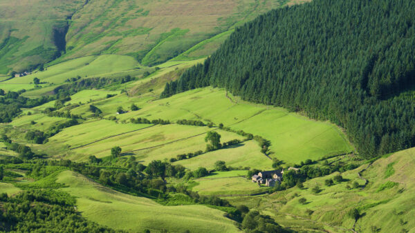 Wallpaper Field, Desktop, Greenery, View, Aerial, Trees, Houses, Nature, Mobile, Hills