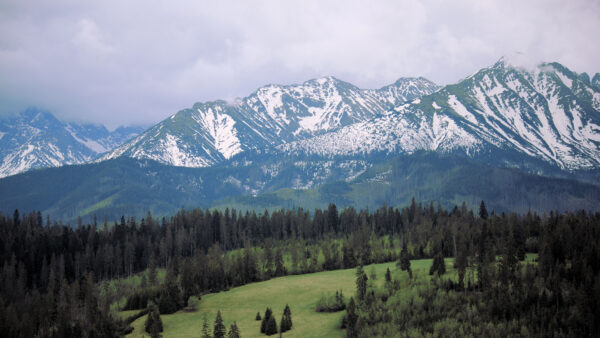 Wallpaper Background, Slope, Landscape, Green, Covered, Grass, White, Mountains, Mobile, Trees, Sky, Desktop, View, Nature