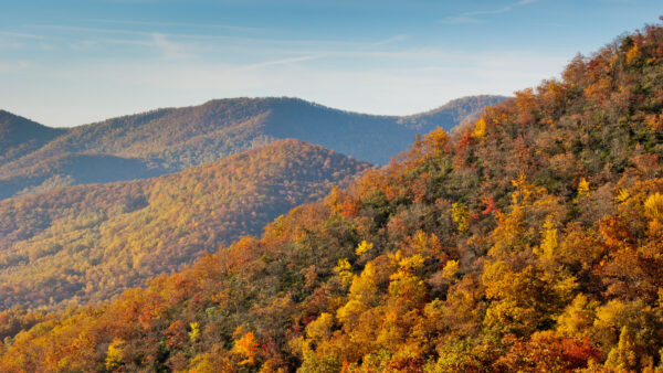 Wallpaper Mobile, Desktop, Mountains, Forest, Trees, Autumn, Nature, Fall, Slope