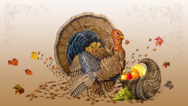 Wallpaper Fruits, Painting, Desktop, Turkey, Thanksgiving, With