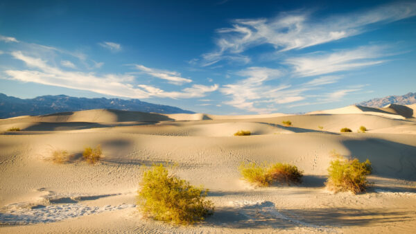 Wallpaper Blue, Land, Nature, Green, View, Mountain, Bushes, Under, Desert, Sky, Landscape