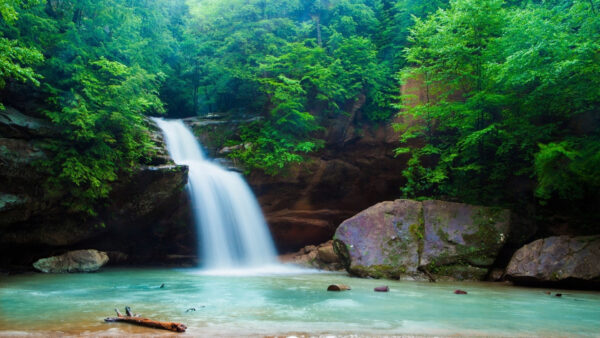 Wallpaper Waterfall, Nature, Green, Rocks, From, Background, River, Pouring, Beautiful, Trees, Forest