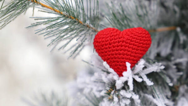 Wallpaper Snow, Tree, Heart, Knitted, Christmas, Red, Woolen, Covered