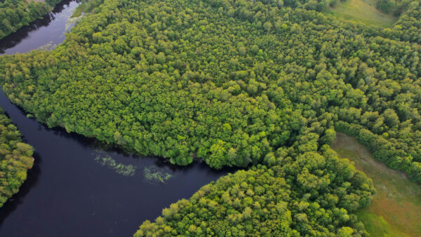 Wallpaper Scenery, View, Nature, Island, Greenery, Aerial, Forest, River, Trees