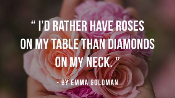 Wallpaper Roses, Table, Did, Rather, Have, Inspirational, Than, Diamonds