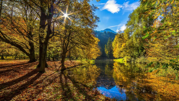 Wallpaper Reflection, Background, Clouds, Trees, Landscape, White, Between, And, Lake, Autumn, Water, View, Yellow, Blue, Green, Sky, Nature, Mountain