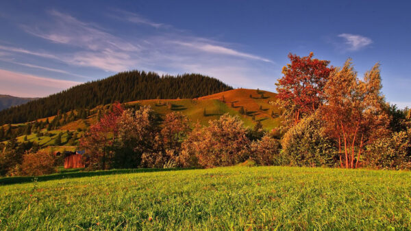Wallpaper Mountains, White, Sky, Fall, Autumn, Under, Blue, Field, Grass, Green, Clouds, Trees, Slope