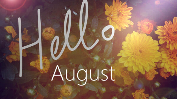 Wallpaper August, Hello, Flowers, Yellow, Background