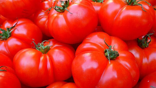 Wallpaper View, Closeup, Bunch, Red, Tomatoes