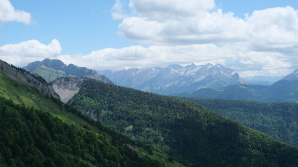 Wallpaper Trees, With, Under, Slope, Mountains, Nature, Clouds, Forest, Sky, Mobile, Desktop, Bushes, Snow