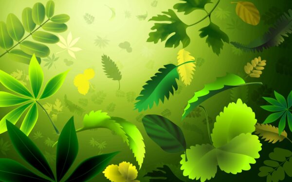 Wallpaper Desktop, Abstract, Wallpaper, 1680×1050, Leafs, Pc, Images, Download, Background, Green, Free, Cool