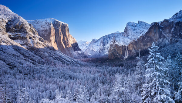Wallpaper Winter, National, Park, Scenery, Yosemite