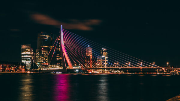 Wallpaper Night, Erasmus, Bridge, Netherlands, Rotterdam