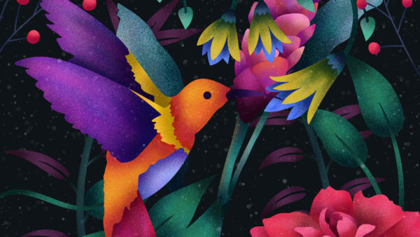 Wallpaper Art, Digital, Hummingbird