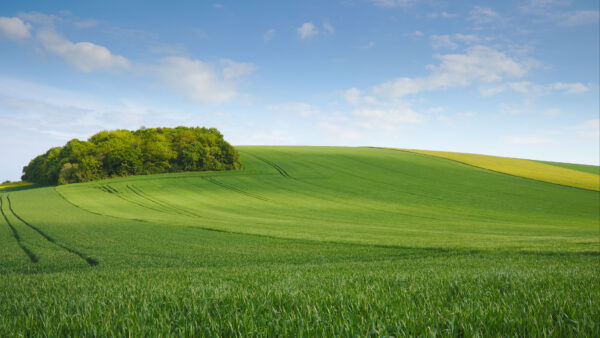 Wallpaper Minimalism, Mobile, Grass, Meadow, Phone, Sky, Background, Clouds, Landscape, Cool, Hill, Desktop, Image, 4k, Field, Nature, Pc