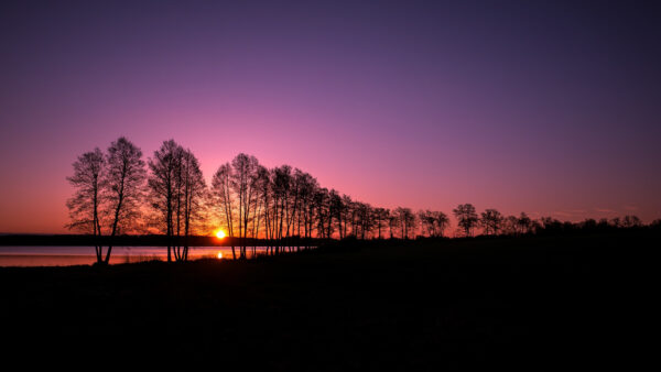 Wallpaper Reflection, Trees, During, Desktop, Body, Water, With, Mobile, Nature, Sunset, Near