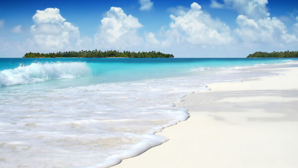 Wallpaper The, Island, Beach, Daytime, Blue, Sky, Covered, Under, Cloudy, During, Tree, Desktop, Middle, Sea