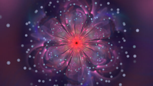 Wallpaper Petals, Mobile, Abstract, Flower, Particles, Glow, Desktop, Colorful, Fractal