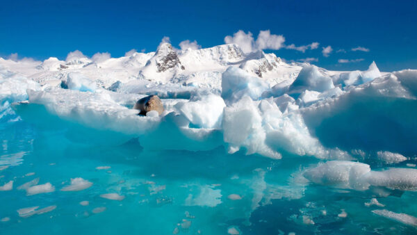 Wallpaper Frozen, Sea, Ocean, Background, Sky, Blue, Water, Clouds, Ice