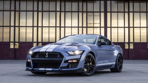 Wallpaper Shelby, GT500, Mustang, Heritage, Edition, Ford, Cars, 2022